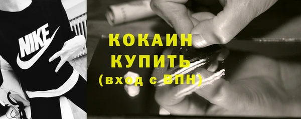 прущие грибы Аркадак