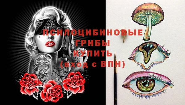 метадон Армянск