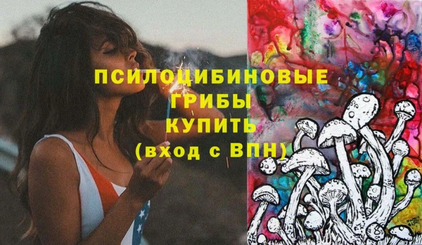 прущие грибы Аркадак