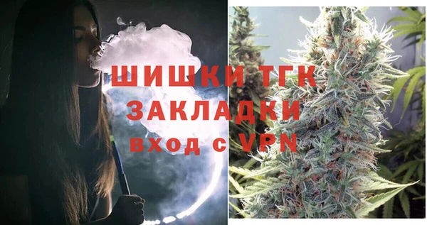 прущие грибы Аркадак