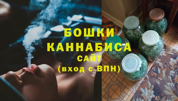 прущие грибы Аркадак