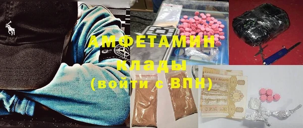 прущие грибы Аркадак