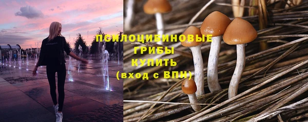 ALPHA PVP Осташков