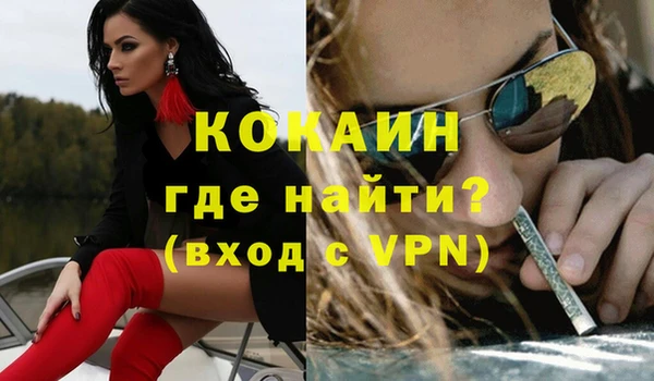 прущие грибы Аркадак