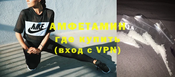 прущие грибы Аркадак